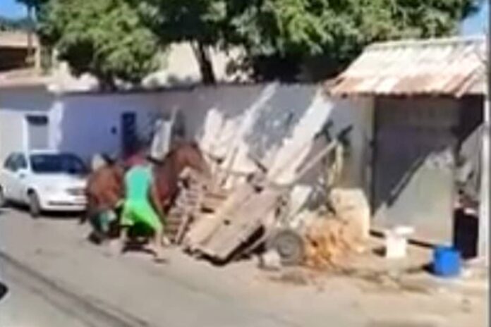 homem-agride-cavalo-com-enxada-no-rio-de-janeiro.-video