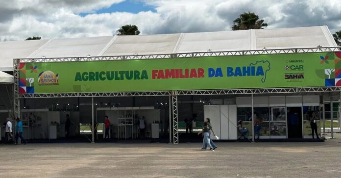 bahia-farm-show:-produtores-do-oeste-ganham-destaque-no-stand-da-agricultura-familiar