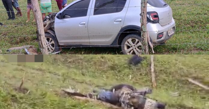 acidente-na-ba-540-deixa-uma-pessoa-morta-e-outras-feridas-em-amargosa