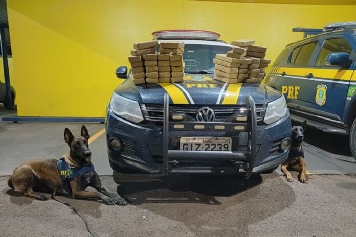 caes-farejadores-flagram-bolivianos-com-54-kg-de-pasta-base-de-cocaina