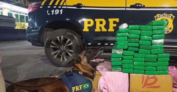 prf-apreende-50-kg-de-maconha-em-carro-que-passava-por-conquista;-dupla-e-presa