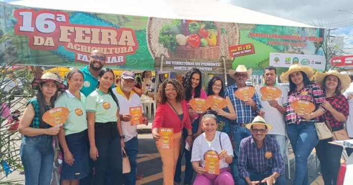 cadeia-produtiva-dos-festejos-juninos-beneficia-mulheres-em-salvador,-senhor-do-bonfim-e-juazeiro