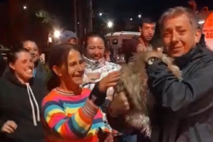 video:-cadelinha-mel-e-salva-por-bombeiro-de-casa-tomada-por-incendio