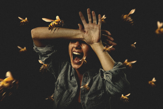 com-ataques-fatais,-abelhas-matam-mais-do-que-escorpiao-e-cobra-em-sp