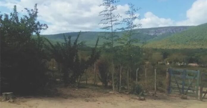 comunidade-rural-na-bahia-espera-energia-eletrica-ha-mais-de-20-anos