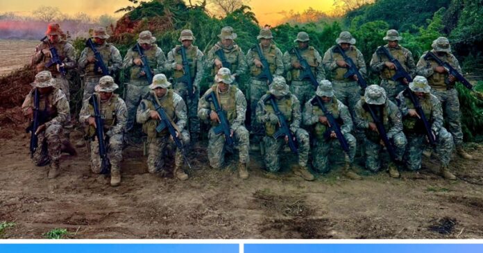 pm-da-bahia-apreende-meia-tonelada-de-maconha-e-incinera-plantio-da-erva-no-piaui