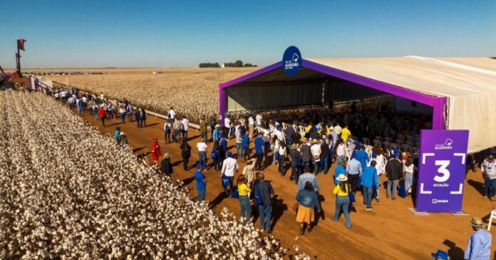 abapa-realiza-3a-edicao-do-dia-do-algodao-e-atinge-publico-recorde