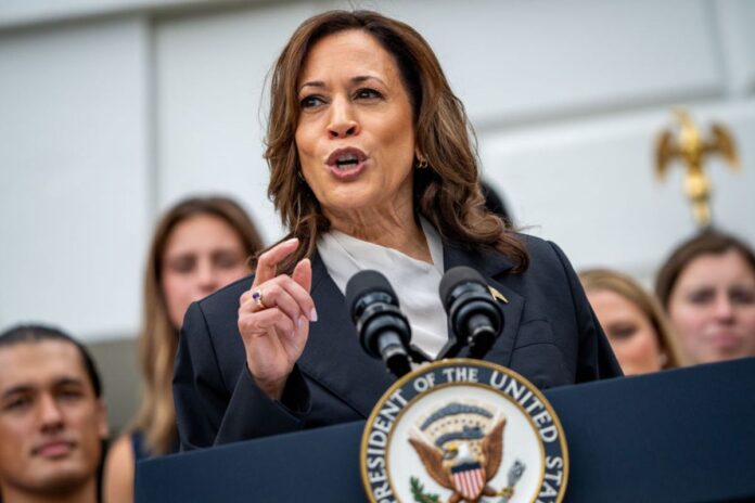 kamala-harris-vai-em-busca-de-votos-em-estado-decisivo-contra-trump