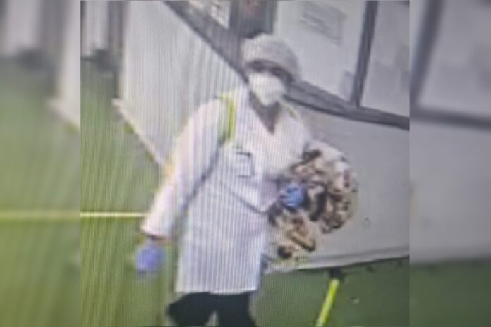 “reviraram-ate-o-lixo-atras”,-diz-mae-de-menina-sequestrada-por-medica