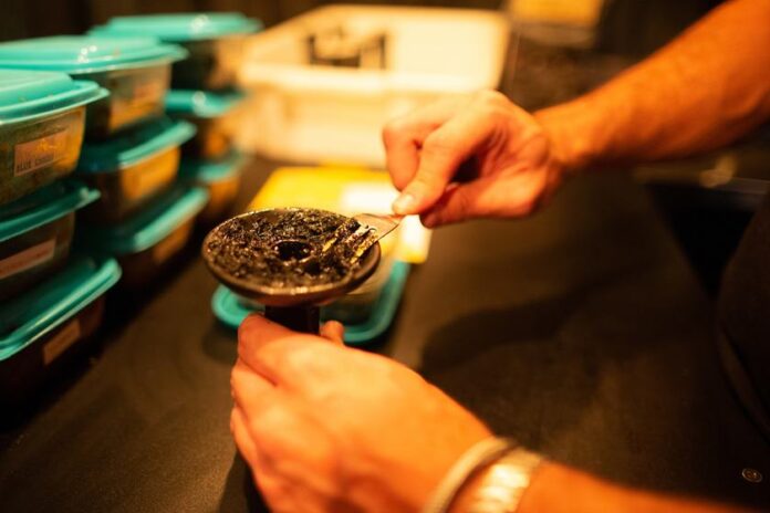 irmaos-que-mataram-mulher-a-tiros-em-bar-de-narguile-sao-presos