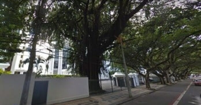 operacao-da-pf-apura-envolvimento-de-empresarios-e-advogados-na-compra-de-respiradores