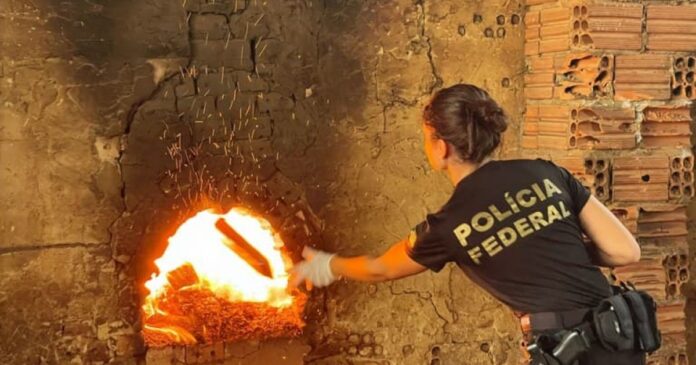 pf-incinera-3,8-toneladas-de-drogas-em-salvador-e-na-regiao-metropolitana pf-incinera-3,8-toneladas-de-drogas-em-salvador-e-na-regiao-metropolitana