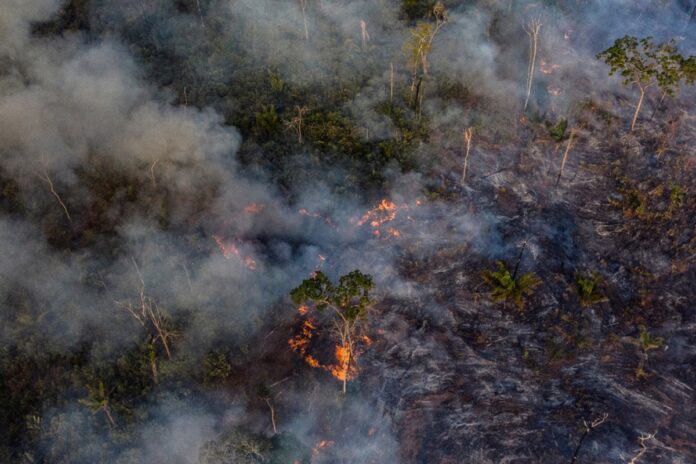 julho-tem-recorde-de-queimadas-na-amazonia,-com-11,4-mil-registros