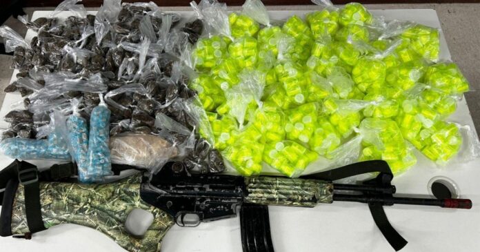 pm-apreende-fuzil-e-drogas-em-fazenda-coutos;-suspeitos-fugiram-por-area-de-mata