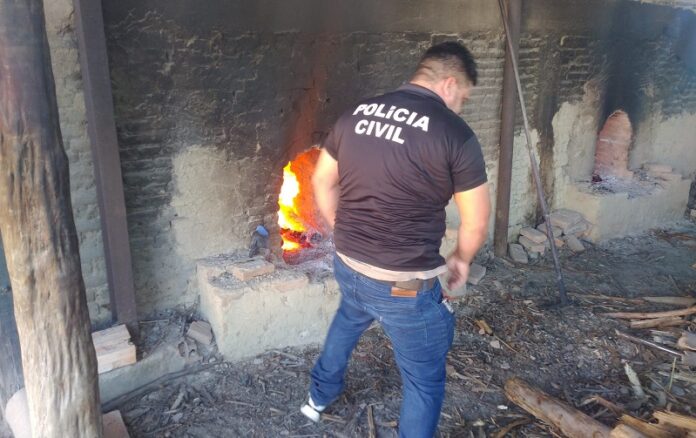 prado:-policia-civil-incinera-mais-de-3-kg-de-drogas-apreendidas