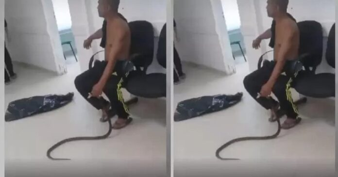 homem-e-picado-por-cobra-e-leva-o-animal-vivo-para-upa-em-sp