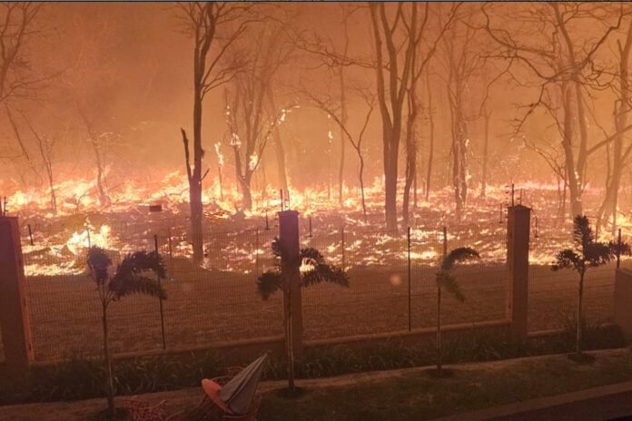focos-de-incendio-em-plena-cidade-causam-panico-em-ribeirao-preto