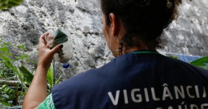 bahia-registra-138-mortes-por-dengue;-vitoria-da-conquista-lidera-numero-de-casos