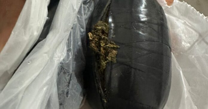 mulher-presa-em-flagrante-tentando-entrar-com-drogas-em-presidio-de-serrinha