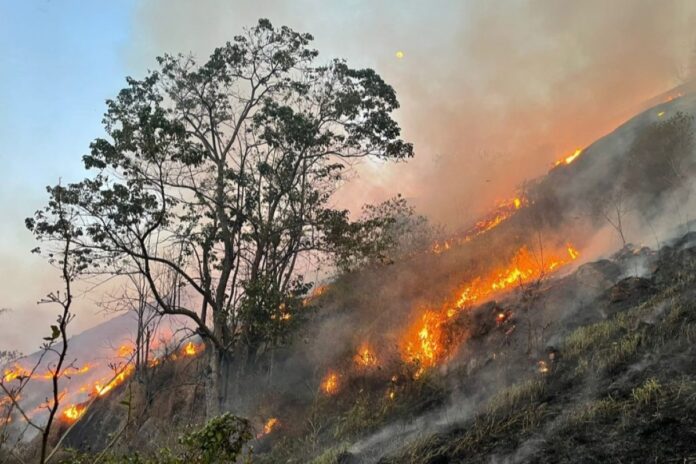 em-4-dias,-sp-registra-mais-focos-de-incendios-que-setembro-de-2023