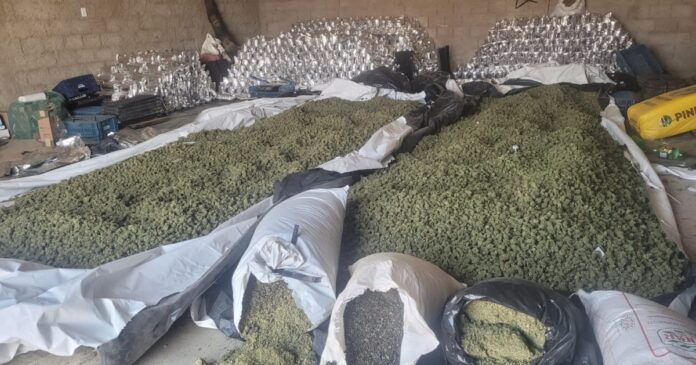 pmba-e-pf-apreendem-mais-de-duas-toneladas-de-maconha-em-sebastiao-laranjeiras