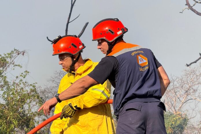 de-moradores-a-satelites:-como-defesa-civil-monitora-incendios-em-sp