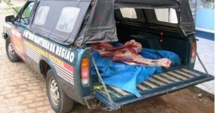 um-terco-dos-municipios-baianos-tem-casos-de-abate-clandestino,-revela-pesquisa-da-adab