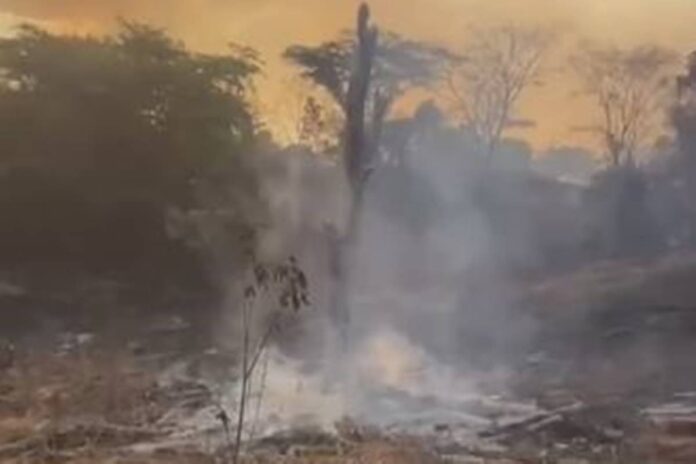 mulher-morre-carbonizada-ao-tentar-apagar-queimada.-video