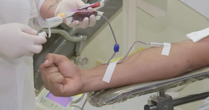 hemoba-promove-campanha-para-cadastro-de-doadores-de-medula-ossea