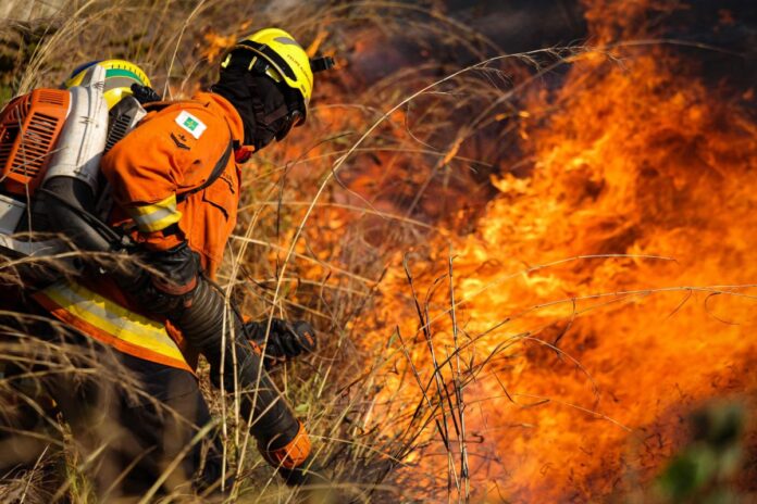chacareiro-provocou-incendio-que-devastou-cerca-200-mil-m-de-vegetacao