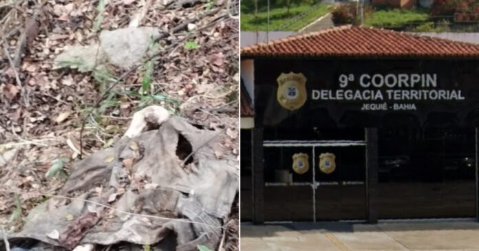 jequie:-ossos-humanos-sao-encontrados-em-avenida-movimentada
