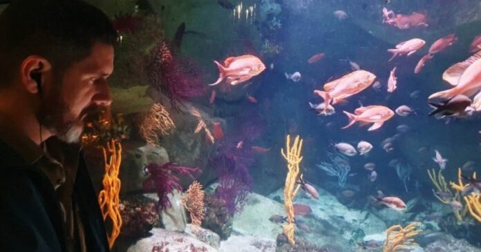 sema-articula-implementacao-do-1o-aquario-imersivo-da-bahia-no-zoologico-de-salvador