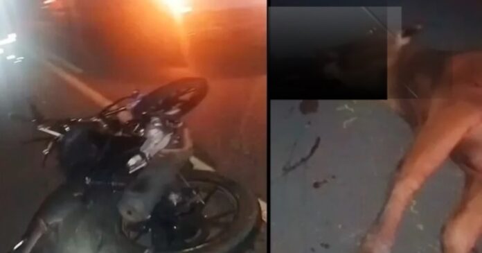 jovem-morre-ao-colidir-motocicleta-com-boi-em-trecho-da-ba-120