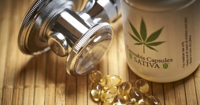 stj-autoriza-cultivo-de-cannabis-para-fins-medicinais,-farmaceuticos-e-judiciais