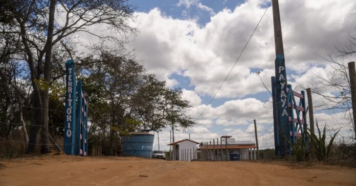 comunidade-payaya-recebe-festival-de-cinema-ambiental-em-15-cidades-na-chapada-diamantina
