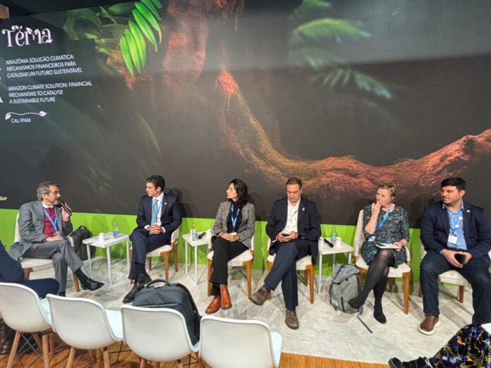 cop29:-preservacao-e-alta-produtividade-no-campo-andam-juntas