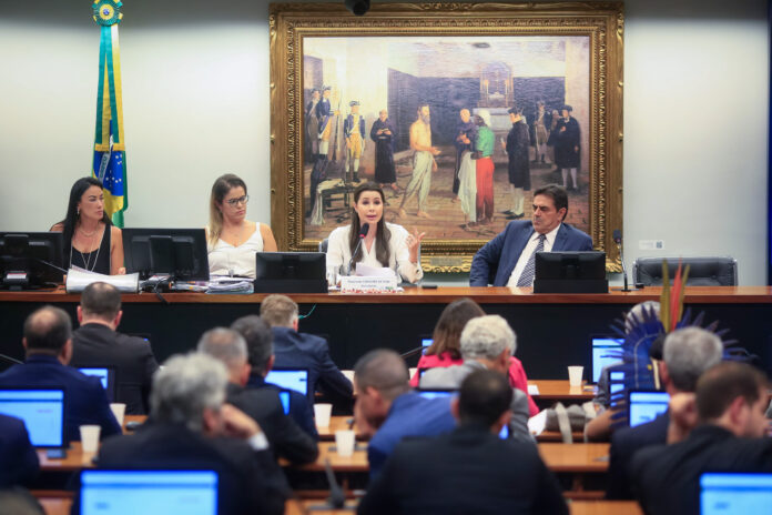 camara:-pec-que-proibe-o-aborto-volta-a-pauta-da-ccj-nesta-terca