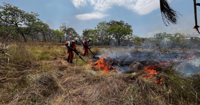 operacao-florestal-2024:-bombeiros-combatem-mais-de-960-incendios-em-93-municipios-do-estado