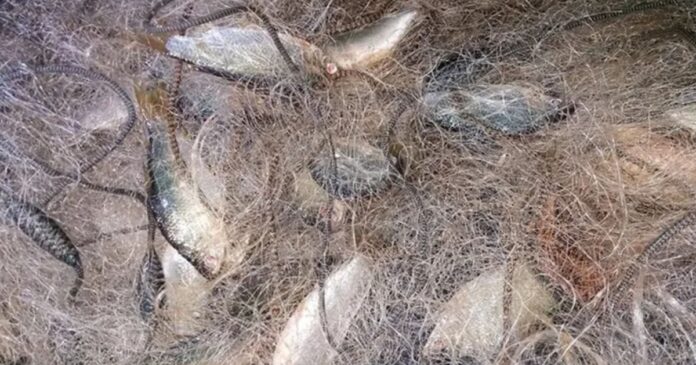 pesca-ilegal:-operacao-da-pm-resulta-na-apreensao-de-redes-na-chapada-diamantina
