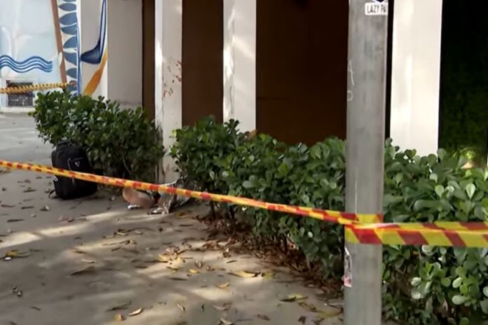 homem-morre-apos-ser-esfaqueado-em-perdizes,-zona-oeste-de-sp