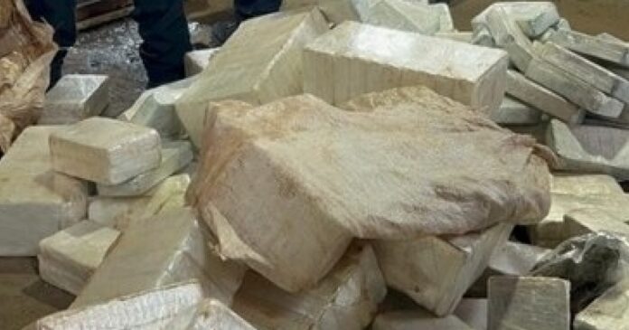 policia-federal-incinera-437-kg-de-entorpecentes-em-maringa