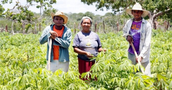 populacao-rural-supera-urbana-em-128-municipios-baianos,-aponta-ibge