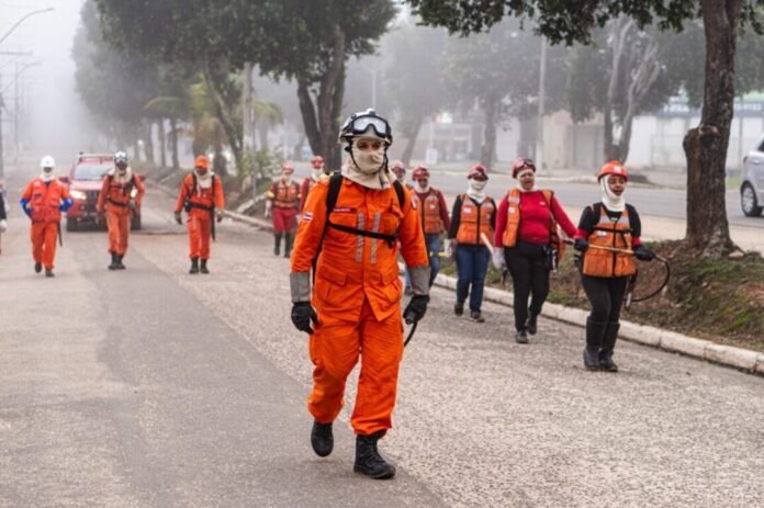 acao-de-protecao-ambiental-da-prefeitura-combate-incendio-e-evita-maiores-danos