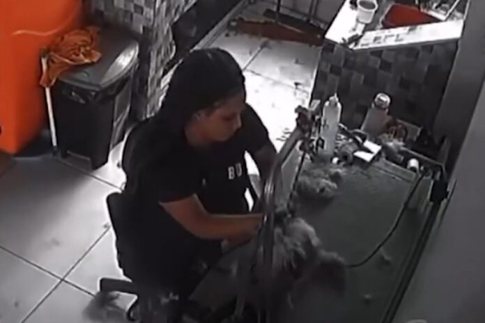 cenas-fortes:-camera-flagra-mulher-matando-cachorro-em-pet-shop-do-df