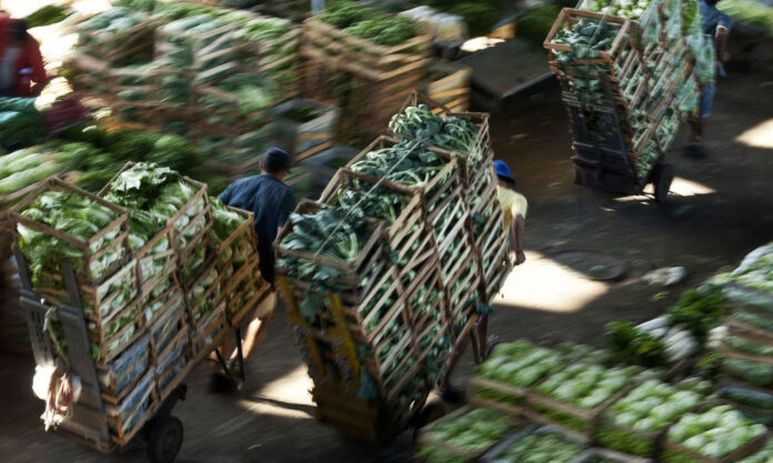 ceagesp-registra-alta-de-3,25%-nos-precos-de-alimentos-em-novembro