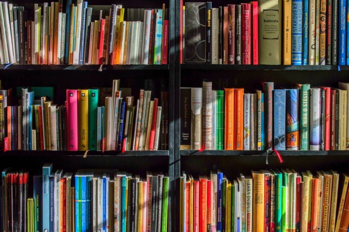 ferias-de-fim-de-ano:-10-livros-para-ler-no-recesso