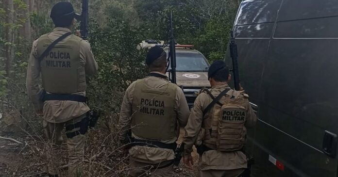 pm-recupera-van-roubada-em-area-de-plantacao-de-eucalipto-no-interior-da-bahia