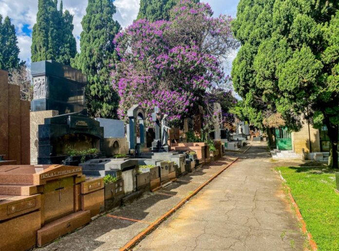 sp:-servicos-funerarios-passam-por-modernizacao-e-melhoram-atendimento