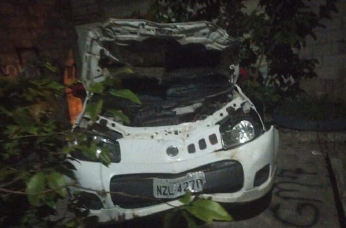 animal-na-pista-provoca-acidente-na-br-101:-passageira-e-socorrida-em-estado-grave