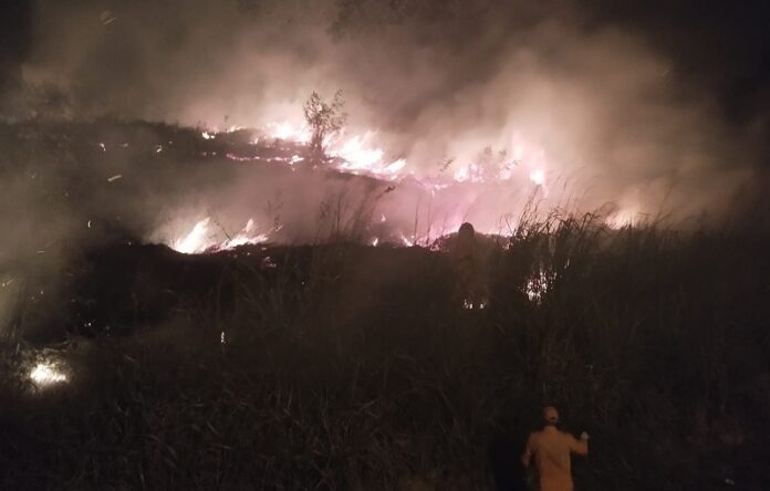 colina-verde:-incendio-criminoso-ameaca-area-de-preservacao-em-teixeira-de-freitas